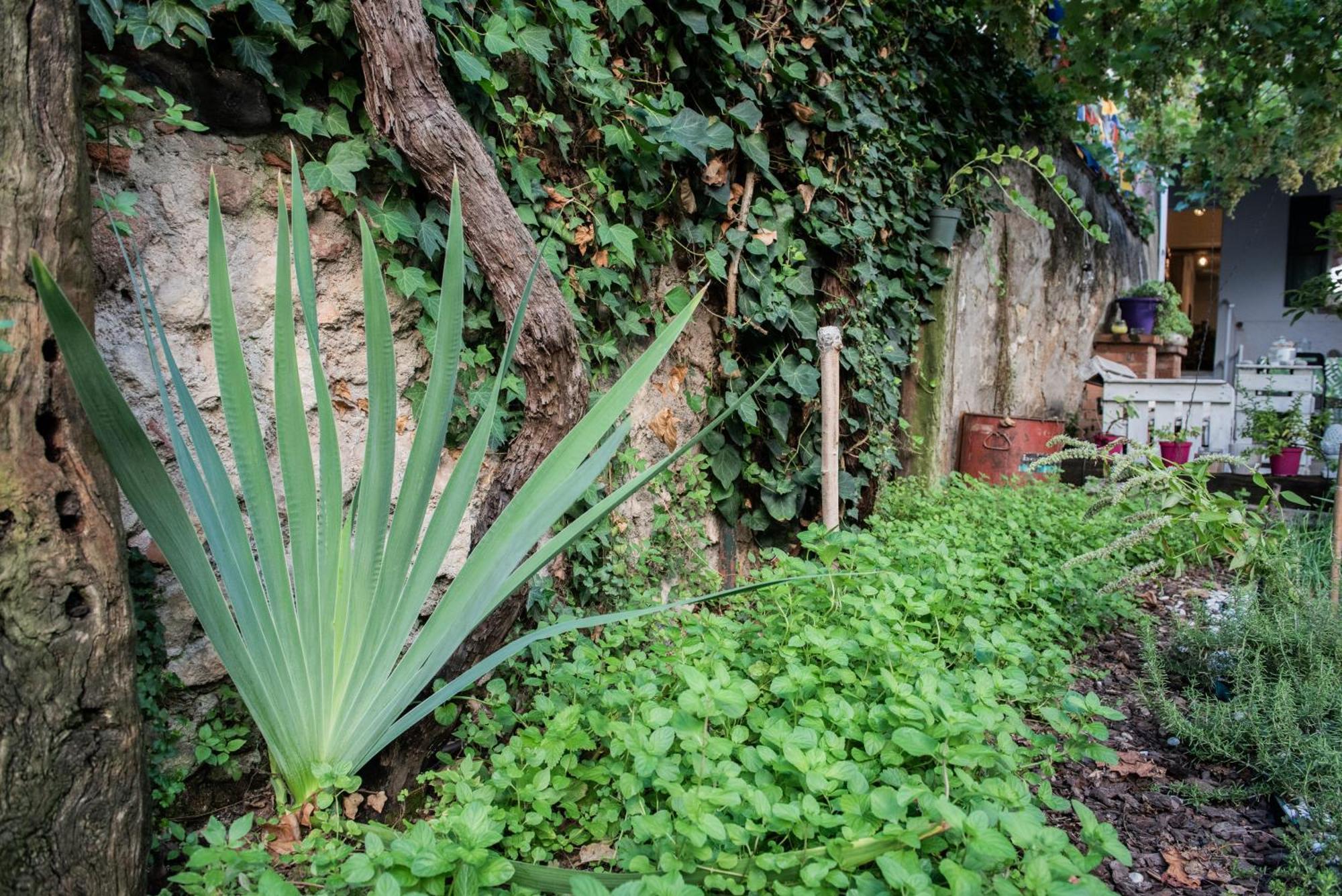 Hotel Casa Babbuino Verona Exterior foto
